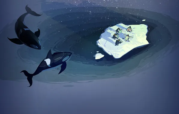 Картинка океан, пингвины, льдина, стим, кОсатка