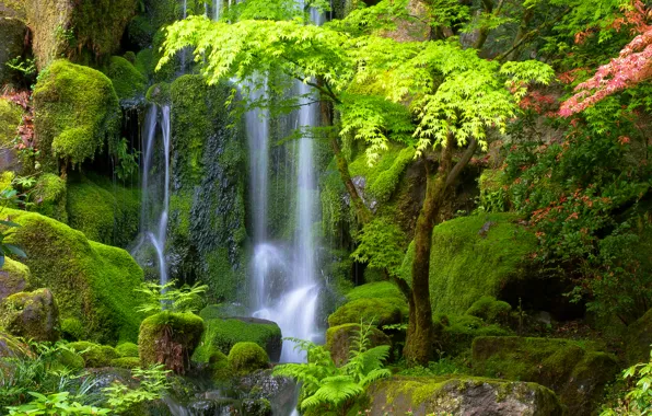 Картинка зелень, деревья, камни, водопад, мох, поток