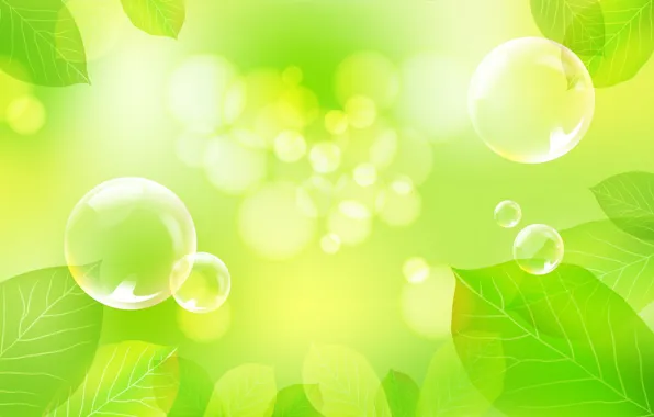 Картинка листья, свет, шар, пузырь