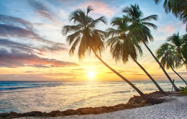 Картинка песок, море, пляж, закат, тропики, пальмы, берег, beach, sea, sunset, paradise, palms, tropical