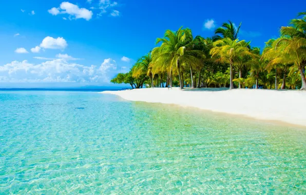 Картинка пляж, вода, прозрачность, тропики, пальмы, океан, рай, экзотика, белый песок