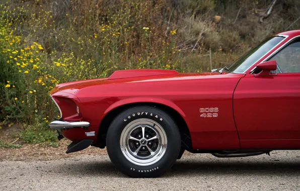 Картинка Mustang, Ford, Muscle, 1969, Red, Car, Classic, Musclecar, Boss, American, 429, NasCar