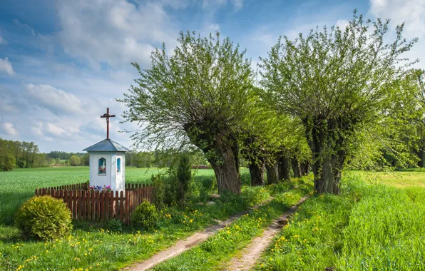Картинка поле, деревья, природа, Poland. дорога