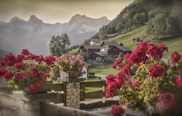 Картинка цветы, горы, Австрия, деревня, Альпы, домики, Austria, Alps, Тироль, Tyrol, Bschlabs, Бшлабс