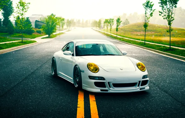 Картинка 911, Porsche, Nature, Green, GT3, White, Road, Supercar, Stancenation