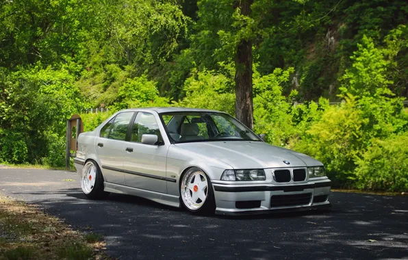 Картинка bmw, forest, tuning, germany, low, stance, e36