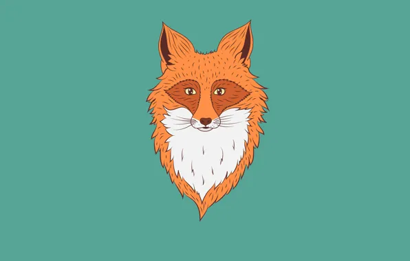 Картинка минимализм, лиса, fox