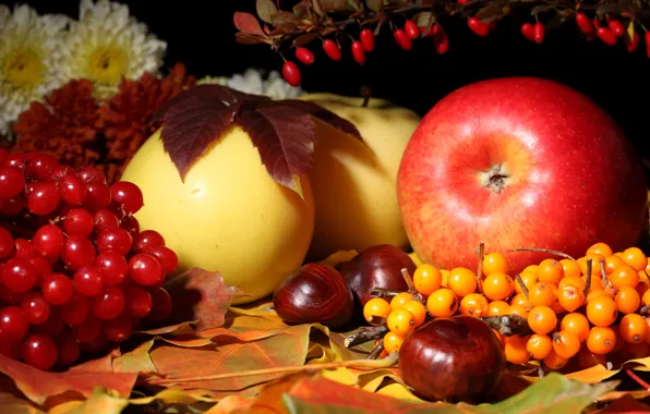Картинка осень, листья, цветы, яблоки, натюрморт, каштан, калина, облепиха