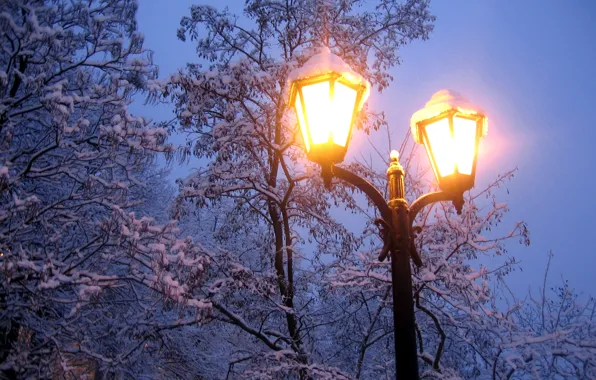 Картинка холод, зима, свет, снег, деревья, ветки, природа, вечер, мороз, фонарь