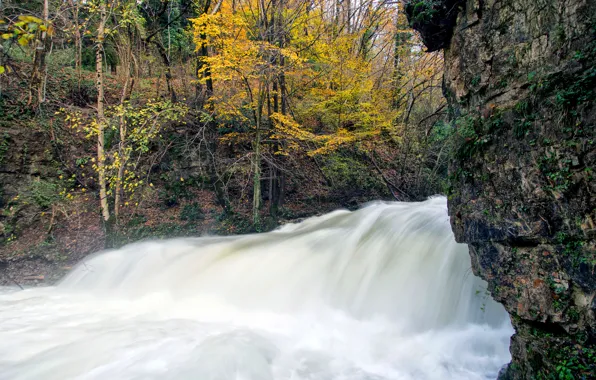 Картинка осень, деревья, река, скалы, поток