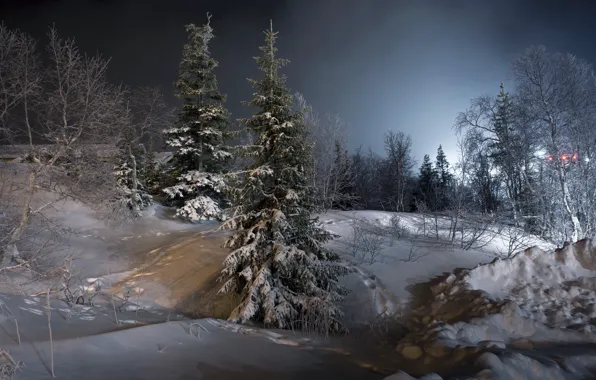 Картинка зима, снег, пейзаж, ночь, ёлки