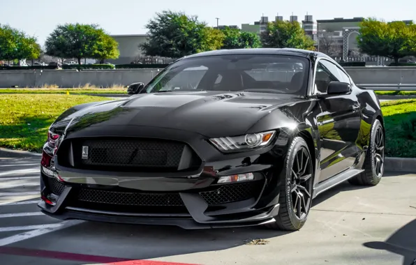 Картинка Mustang, Ford, Shelby, Black, GT350
