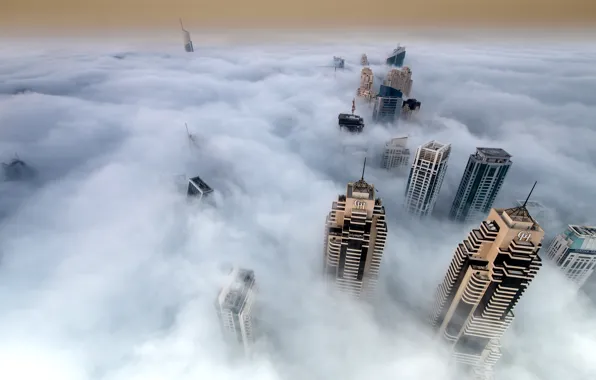Картинка туман, небоскребы, Город, густой
