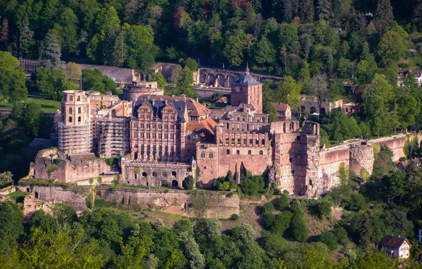 Картинка лес, деревья, замок, Германия, вид сверху, Heidelberg Castle