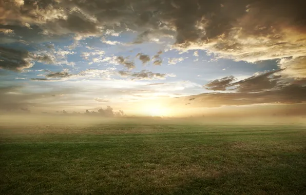 Картинка поле, трава, облака, природа, туман, газон, утро