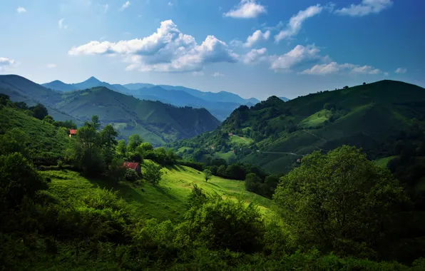 Картинка зелень, лето, небо, трава, облака, деревья, холмы, Испания, Астурия, Кантабрийские горы
