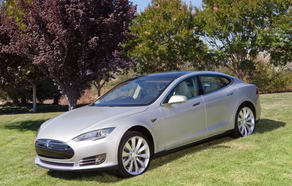 Картинка природа, седан, Tesla, Model S