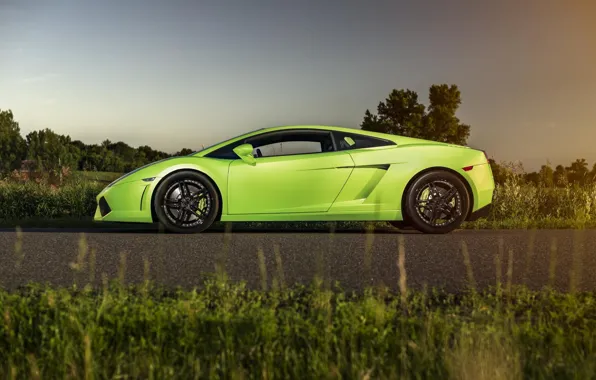 Картинка Lamborghini, Gallardo, Green, Sun, Turbo, Supercar, LP560-4, Twin