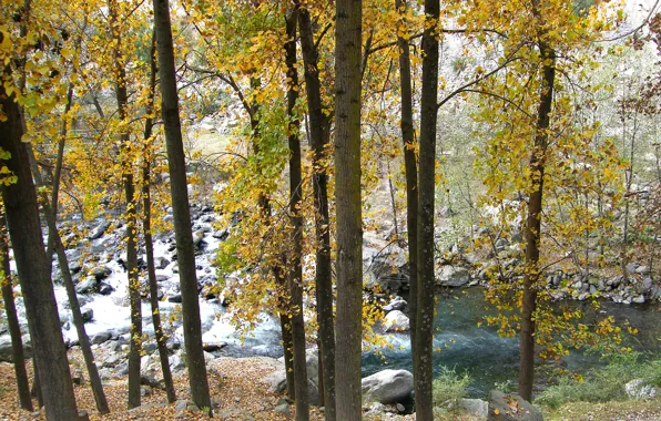 Картинка осень, деревья, горы, река, камни