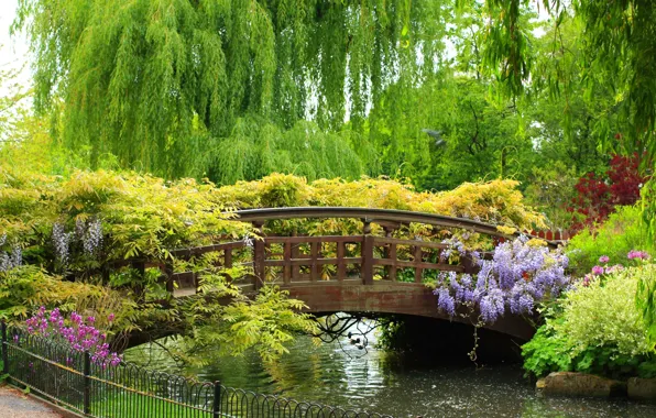 Картинка деревья, цветы, парк, красота, растения, ограда, речка, мостик, bridge, красивый, ива, Spring garden, плакучая