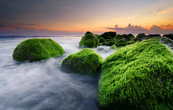 Картинка пляж, камни, океан, Bali, Indonesia, Masceti Beach, водросли, Ketewel