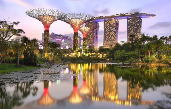 Картинка пруд, парк, Сингапур, отель, Singapore, Marina Bay Sands, Gardens by the Bay, Parks