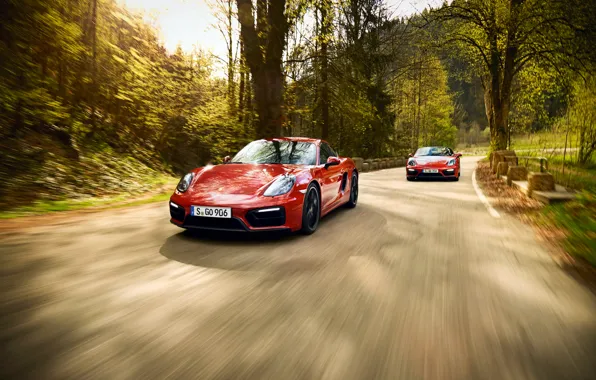 Картинка 911, Porsche, Carrera 4, порше, Coupe, GTS, 991, каррера, 2014