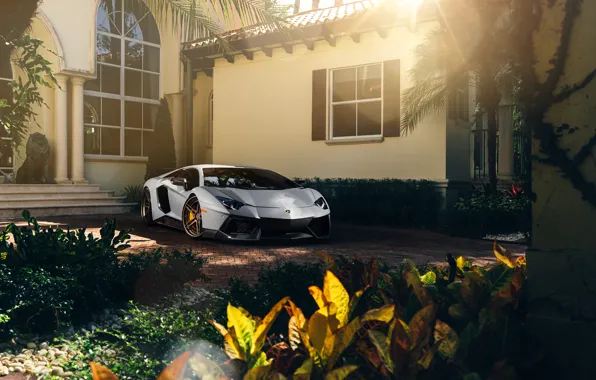 Картинка Lamborghini, Front, Sun, White, Matte, Tuning, LP700-4, Aventador, Supercar, Wheels, ADV.1