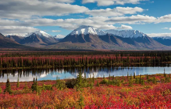 Картинка осень, небо, облака, горы, Аляска, США, леса