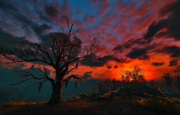 Картинка небо, облака, ночь, дерево, Ведьмак, висельники, The Witcher 3:Wild Hunt