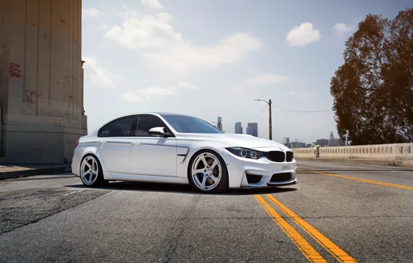 Картинка bmw, бмв, white, wheels, tuning, front, face, germany, low, stance, f30, f80