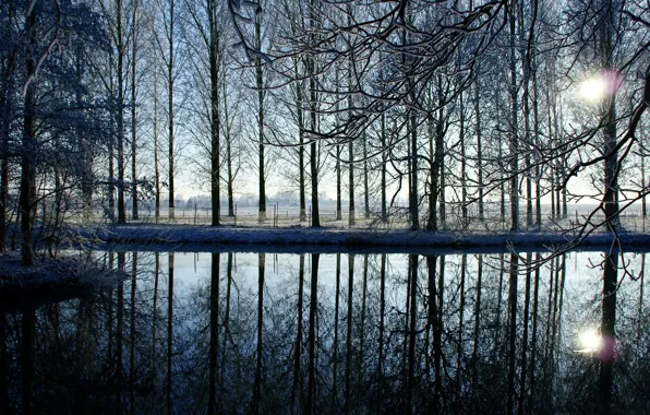 Картинка зима, вода, солнце, снег, закат, ветки, озеро, отражение, река, забор, вечер, ограда, Деревья