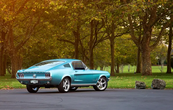 Картинка Mustang, Ford, багажник, диски, 1967, Fastback