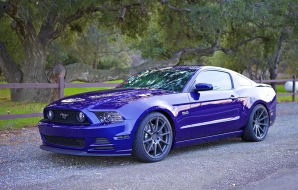 Картинка Mustang, Ford, IC-S10, Incurve
