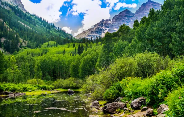 Картинка лес, облака, горы, озеро, камни, США, кусты, Colorado, Maroon Bells