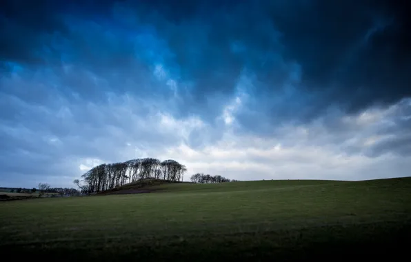 Картинка поле, небо, деревья, тучи, долина, Шотландия, Великобритания, синее, просторы