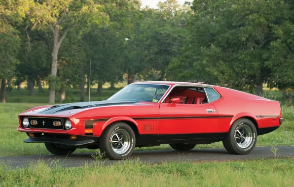 Картинка деревья, красный, Mustang, Ford, Форд, 1971, Мустанг, передок, Muscle car, Mach 1, Мускул кар