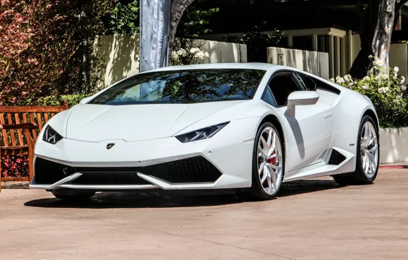 Картинка Lamborghini, white, Huracán, instinctive, tehnology
