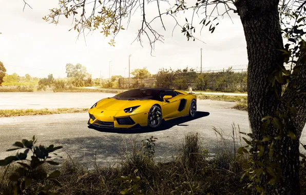 Картинка Roadster, Lamborghini, Front, Vorsteiner, Yellow, LP700-4, Aventador, Supercar
