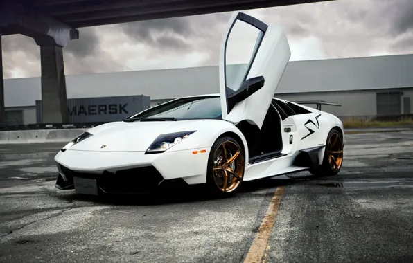 Картинка Lamborghini, белая, murcielago