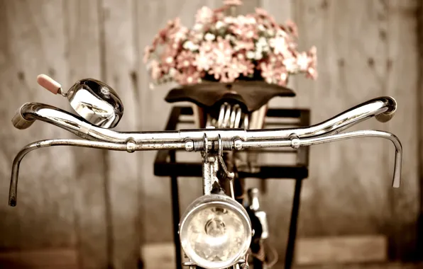 Картинка цветы, велосипед, фон, обои, настроения, руль, wallpaper, цветочки, bicycle, широкоформатные, background, полноэкранные, HD wallpapers, широкоэкранные