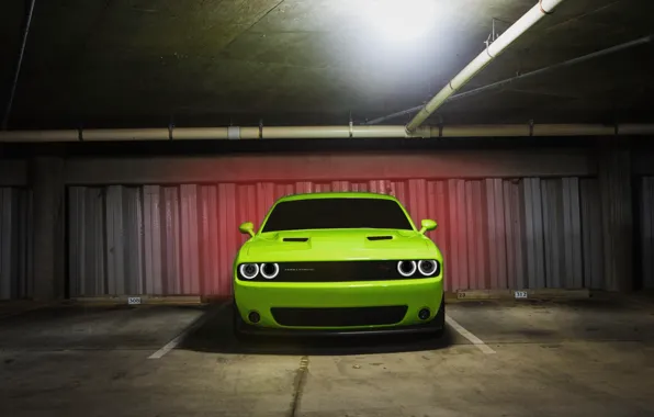 Картинка Muscle, Dodge, Light, Challenger, Car, Green, Front, R/T