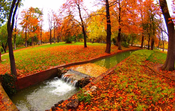 Картинка осень, вода, деревья, парк, ручей