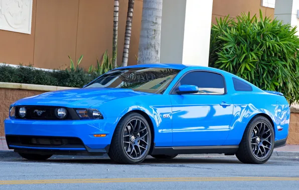 Картинка Ford, mustang, blue