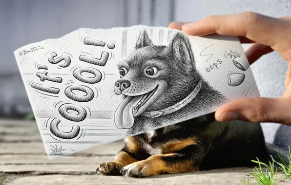 Картинка животное, надпись, рисунок, рука, собака
