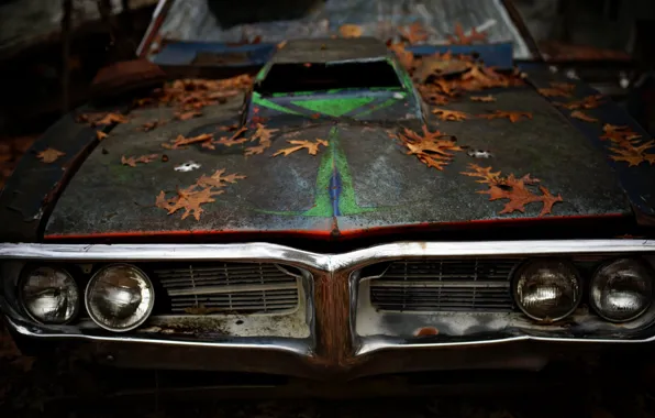 Картинка листья, Pontiac, muscle car, Firebird