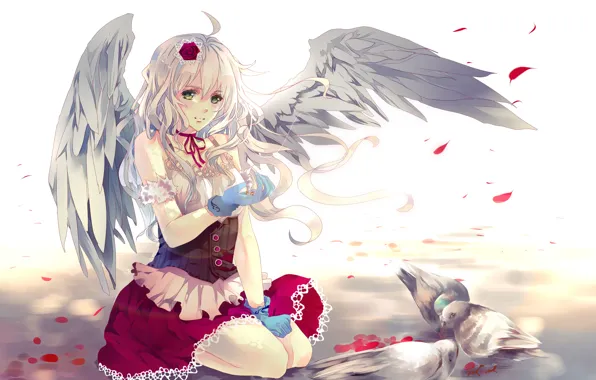 Картинка девушка, птицы, роза, крылья, лепестки, арт, голуби, aiki-ame