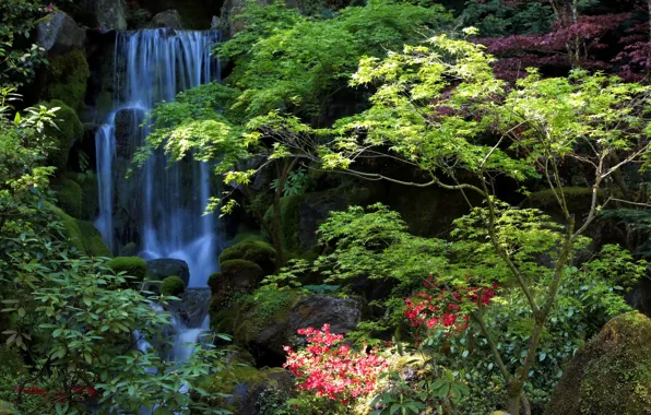 Картинка природа, фото, водопад, сад, США, Oregon, Portland