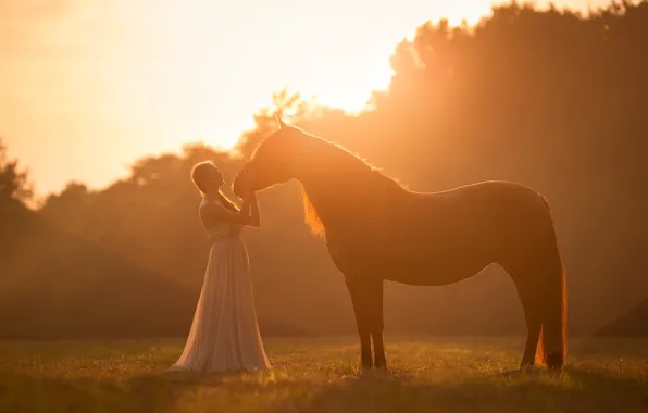 Картинка девушка, свет, настроение, конь