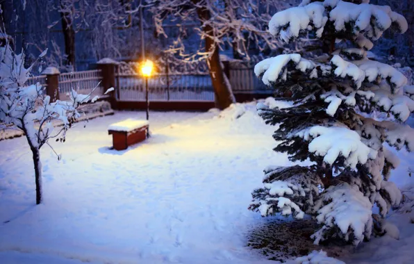Картинка зима, снег, деревья, природа, елка, ель, освещение, двор, фонарь, ёлка